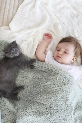 Parent guide to introducing your pet to your new baby